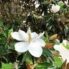 igarcia861
